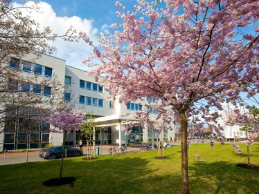 Neubau eines Transplantations- und Forschungszentrums sowie einer Frauenklinik an der Medizinischen Hochschule Hannover